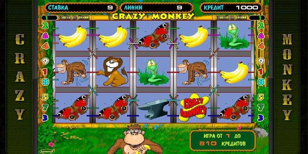игровые автоматы бесплатно медвежий приз